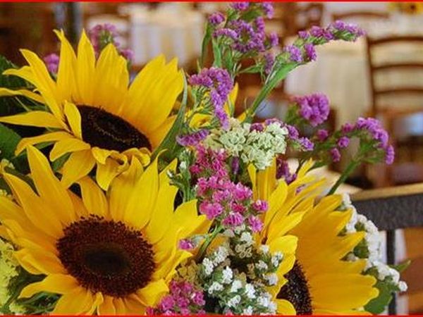 Agriturismo Cascina di Mezzo - foto 32306.jpg