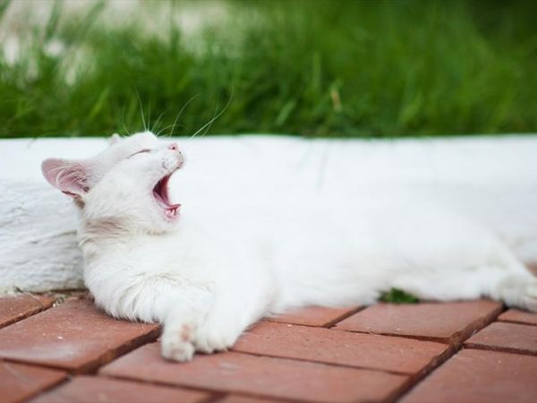 Hotel Su Gologone - foto 32337.jpg