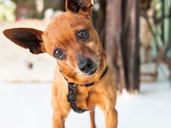 Hotel Su Gologone - foto 32338.jpg