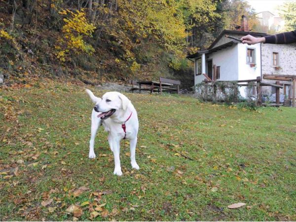 Il Molino di Serravalle - foto 32350.jpg