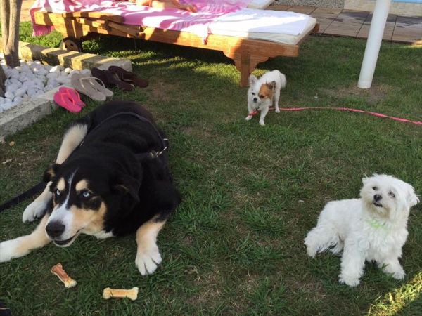 Hotel Universo - foto 32442.jpg