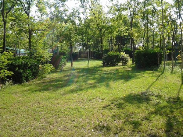 Campeggio dei Tigli - foto 32497.jpg