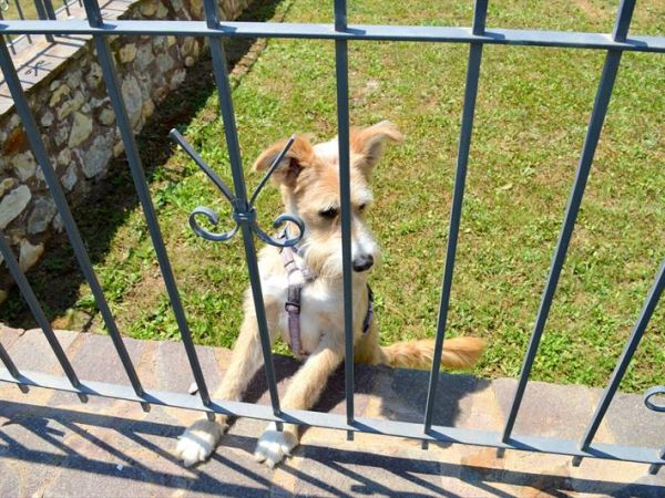 Le Corti di Montepitti - foto 32569.jpg