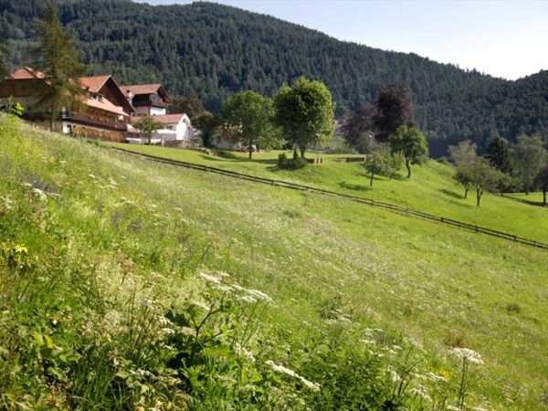 Naturhotel Wieserhof - foto 32612.jpg