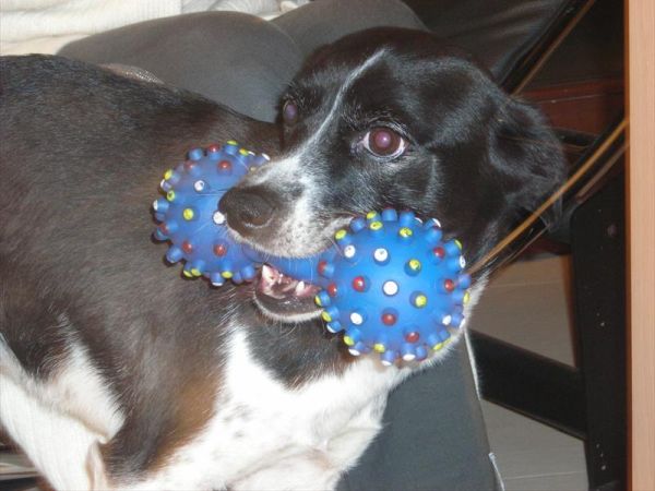 Hotel Astoria Gourmet & Relax  - foto 32835.jpg