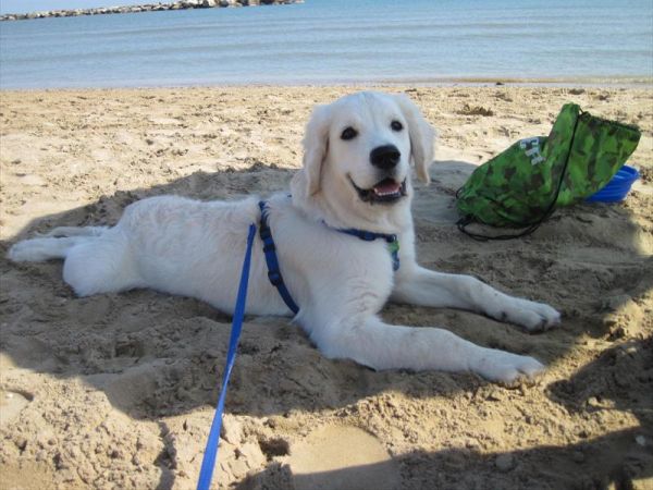 Hotel Astoria Gourmet & Relax  - foto 32838.jpg