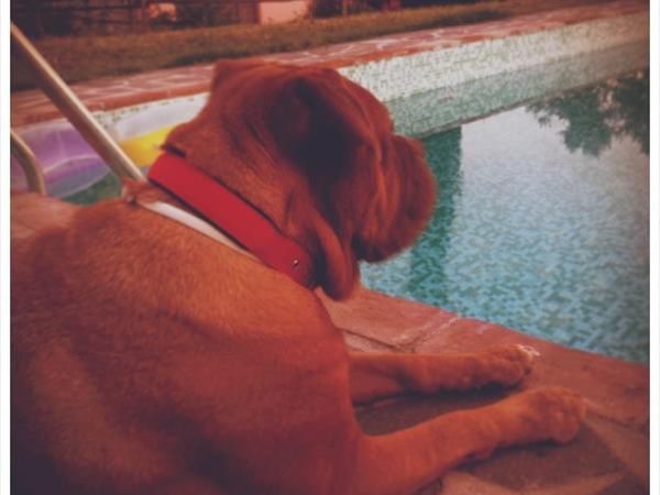 Il Feudo - foto 32862.jpg