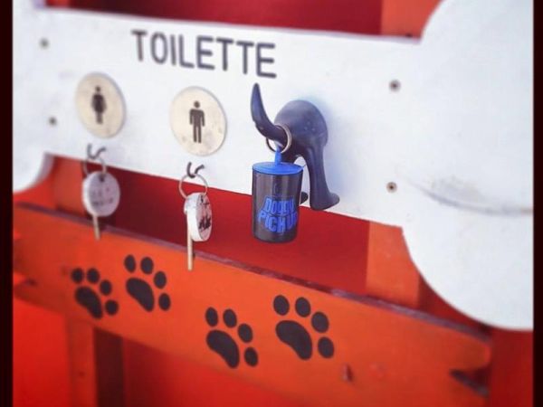 Rimini Dog No Problem - Bagno 81 Rimini - foto 32942.jpg