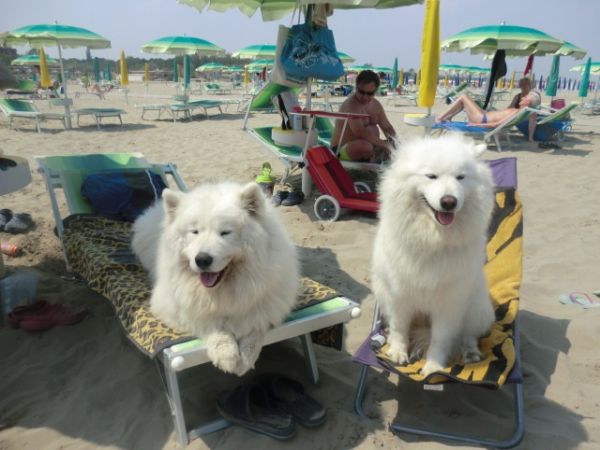 Michelangelo Hotel & Family Resort - foto 32982.jpg