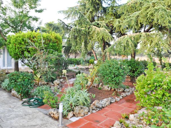 Santos b&b - foto 33003.jpg