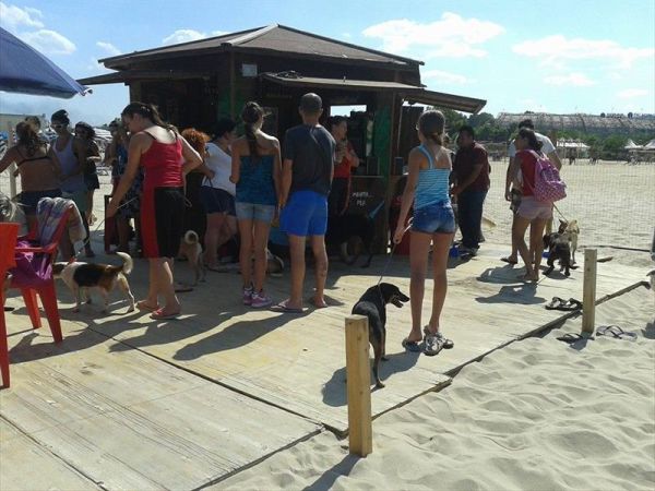 Dog Beach - Lido Azzurro - foto 33007.jpg