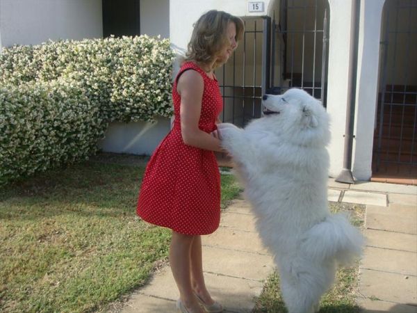 Michelangelo Hotel & Family Resort - foto 33029.jpg