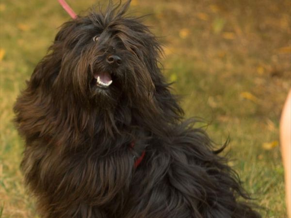 Hotel Residence Il Conero 2 - foto 33088.jpg