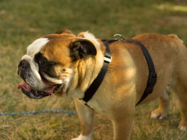 Hotel Residence Il Conero 2 - foto 33089.jpg