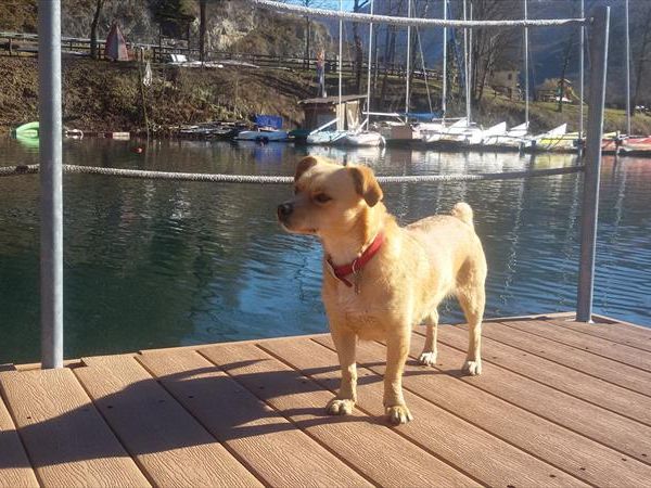 Hotel Garni Minigolf - foto 33102.jpg