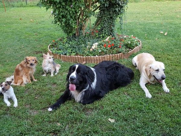 Casa Vacanze Al Cappellino - foto 33148.jpg