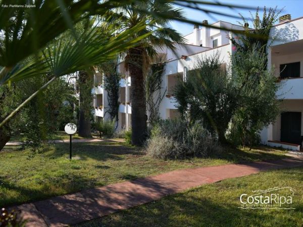 CostaripaResort e Dog Beach  - foto 33187.jpg