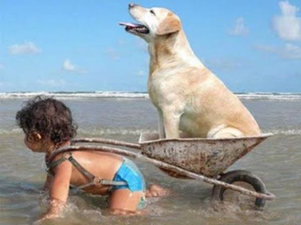 Villa Conca Marco - foto 33524.jpg