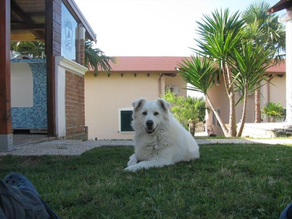 Il Villaggio del Re - foto 33622.jpg