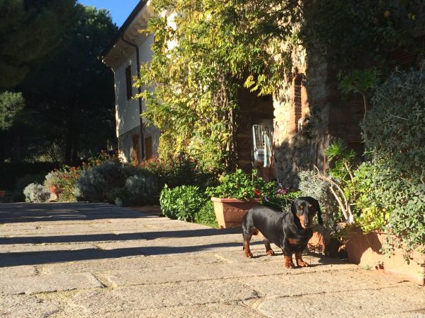 Dolce Vita - foto 33657.jpg