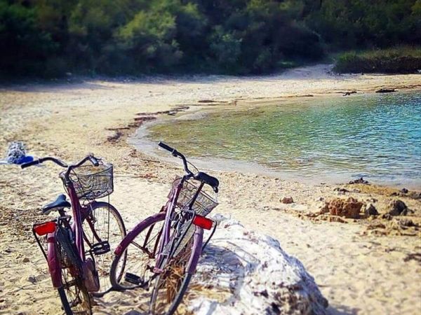 Vacanze in Puglia - foto 33679.jpg