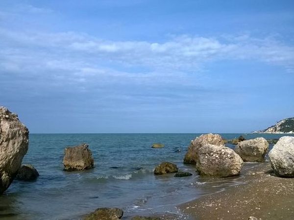 Hotel Pineta - foto 33757.jpg