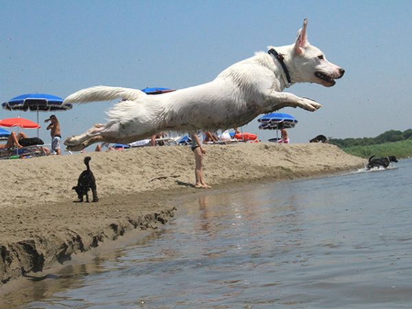 Baubeach Village - foto 33779.jpg