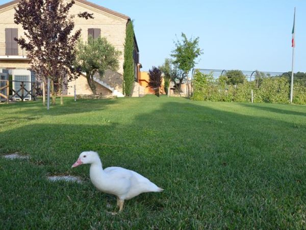 Hotel Villa Gens Camuria - foto 33879.jpg