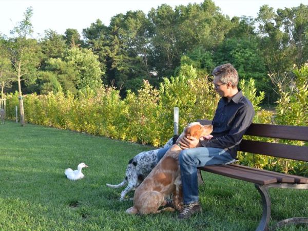 Hotel Villa Gens Camuria - foto 33882.jpg