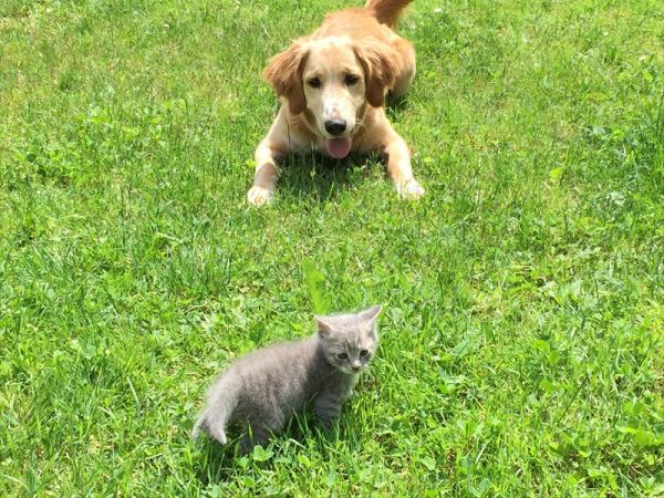 Hotel Lac Salin SPA & Mountain Resort - foto 33907.jpg