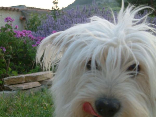 Fattoria Spezia - foto 33910.jpg