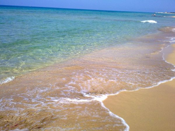 Fattoria Spezia - foto 33914.jpg