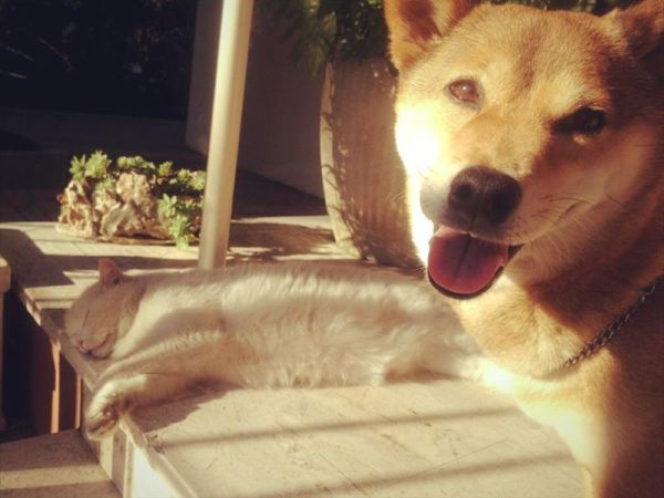 Hotel Beverly - foto 33945.jpg