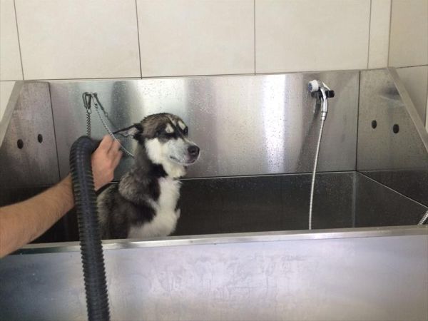 Vascellero Club Resort - foto 34000.jpg