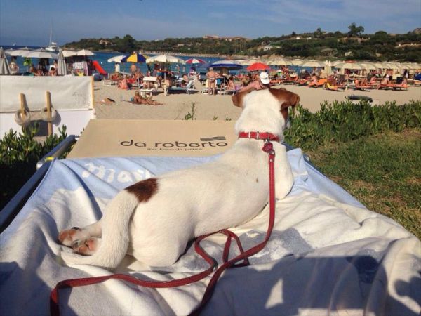  Da Roberto -Spiaggia Ira- Porto Rotondo - foto 34033.jpg