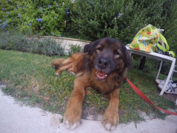 Grand Hotel Passetto - foto 34142.jpg