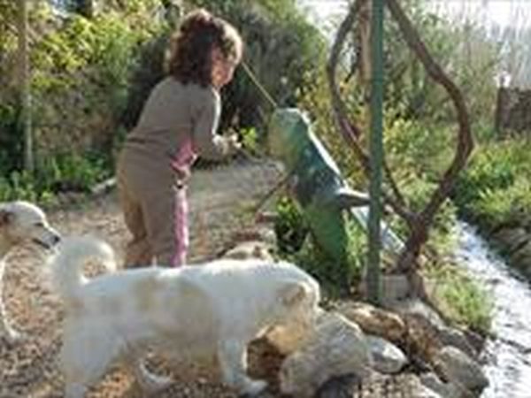 Molino di Molanoce - foto 34267.jpg