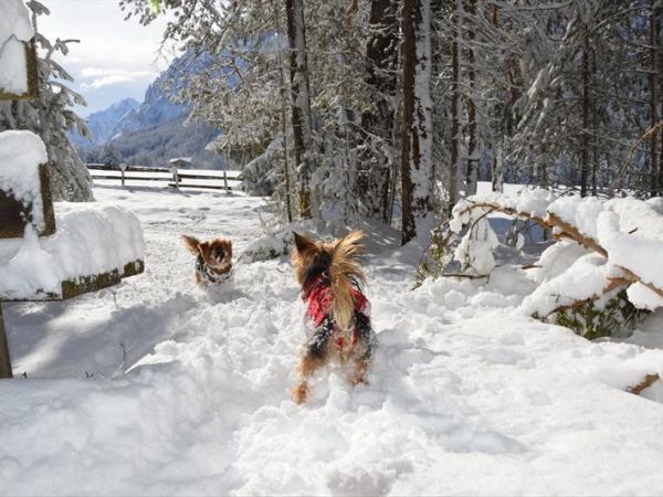 Hotel Brunella - foto 34293.jpg