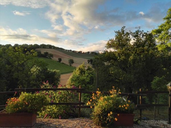 Agriturismo B&B Da Foschetta - foto 34321.jpg