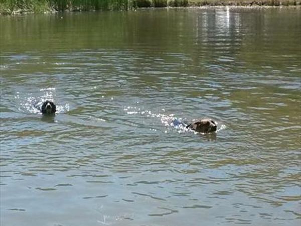 Fattoria il Praticino - foto 34351.jpg