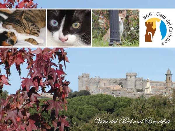 B&B I Gatti del Castello - foto 517.jpg