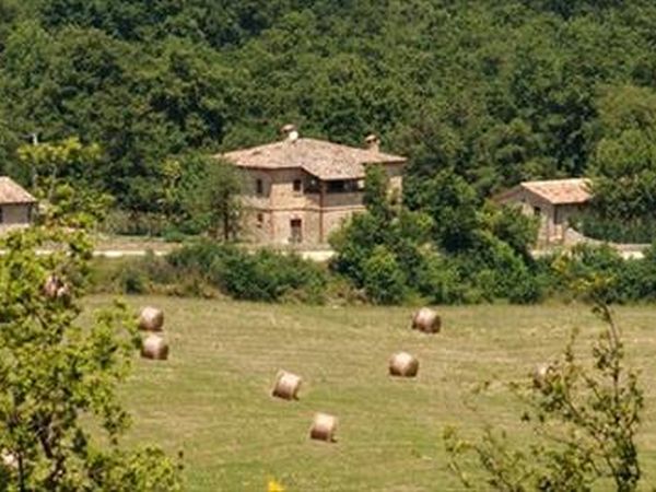 Agriturismo il Felcino - foto 34411.jpg