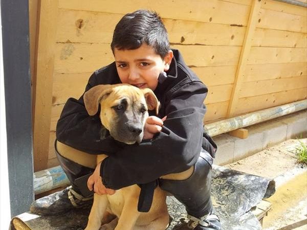 Agriturismo il Felcino - foto 34417.jpg