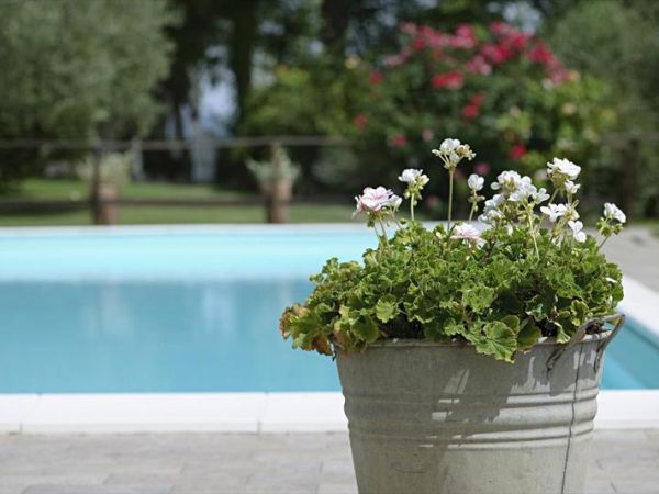 Agriturismo Il Sambro - foto 34439.jpg