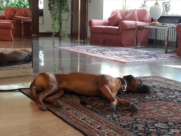 Grand Hotel Passetto - foto 34500.jpg