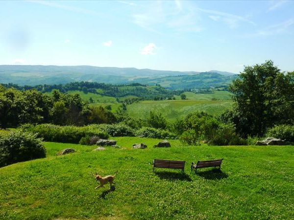 Podere Pietreta - foto 34549.jpg