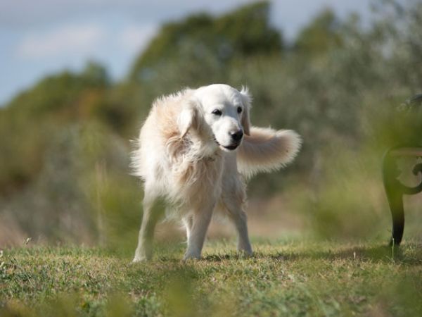 Podere Pietreta - foto 34654.jpg