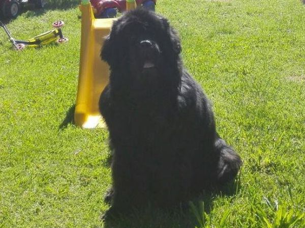 Casa Vacanze Santa Caterina - foto 34811.jpg