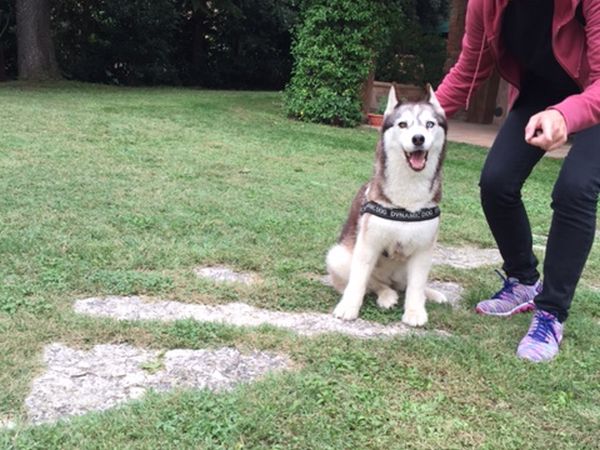 Holiday House Borgo Badia - foto 34934.jpg