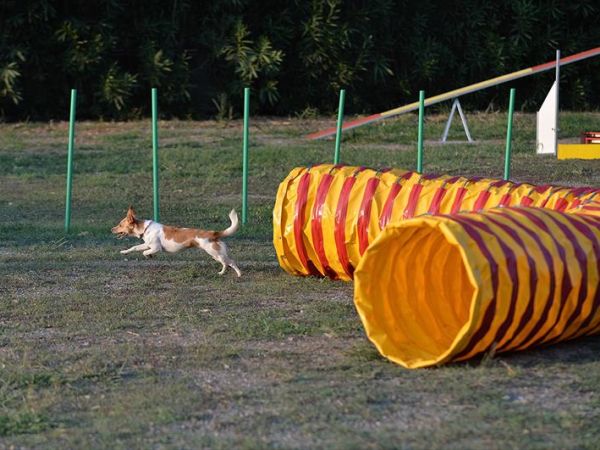 Vascellero Club Resort - foto 34959.jpg